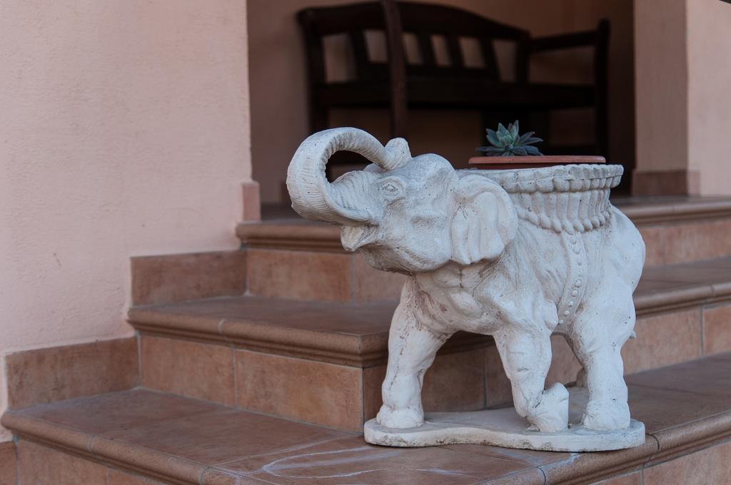 B&B L'Orizzonte Civitavecchia Bagian luar foto